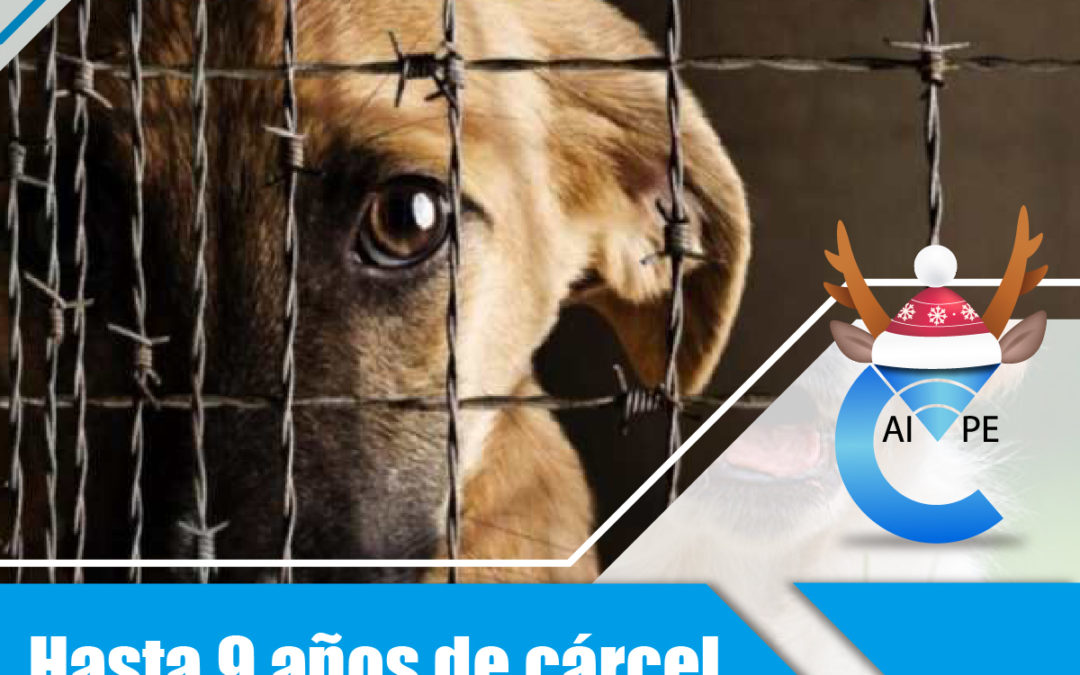 Hasta 9 años de cárcel por maltrato animal